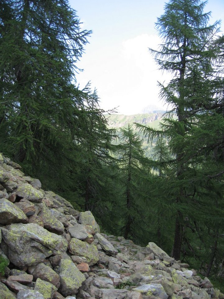 20060715_143